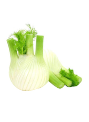 Baby Fennel South Africa