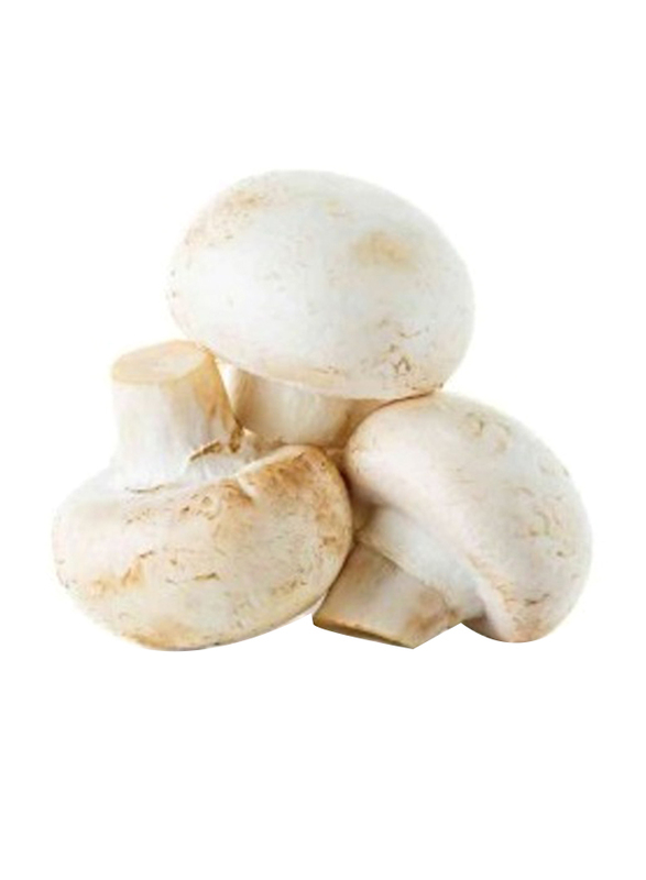 

Kinoko White Button Mushroom