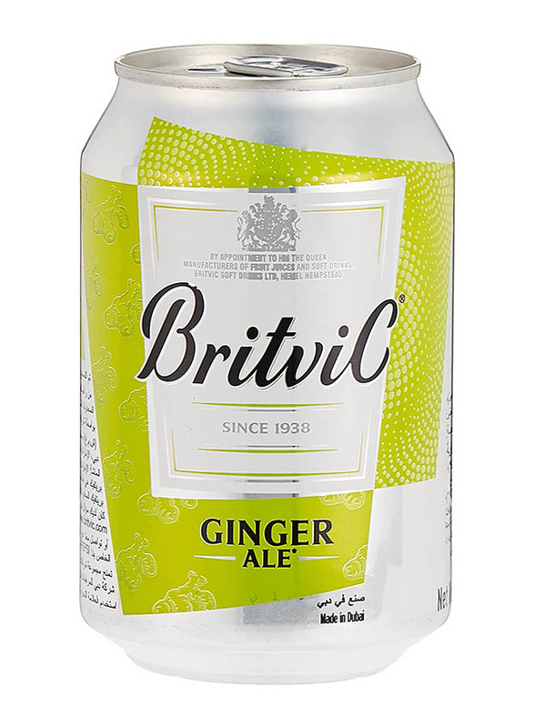 

Britvic Ginger ALE Soft Drink, 300ml