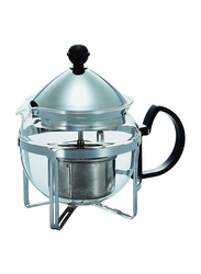 Hario Chaor 4-Cup Tea Maker, CHA-4SV, Silver