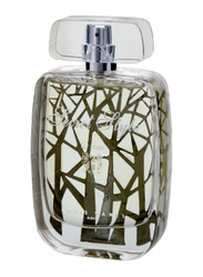 Louis Varel Paris Secret Style 100ml EDT for Men