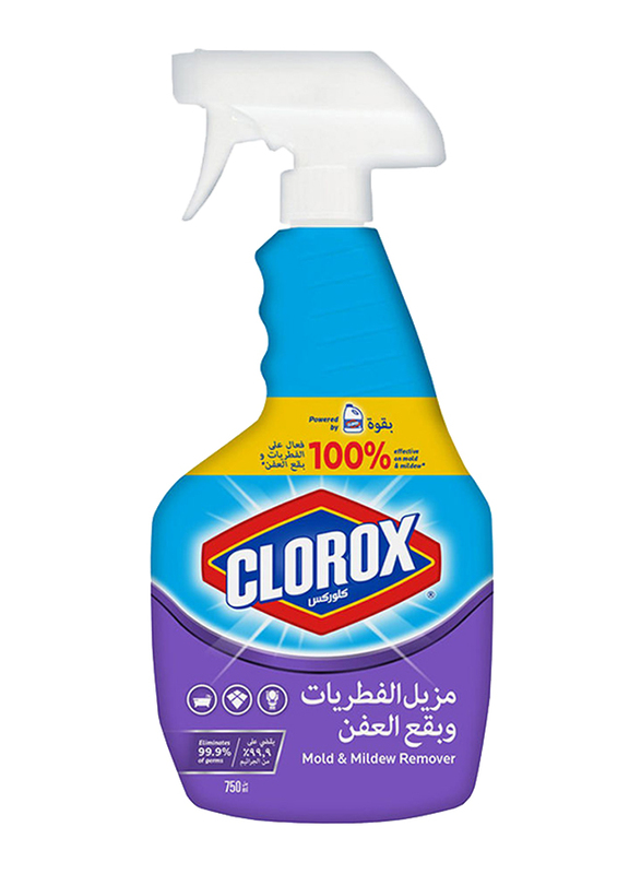 clorox mildew and mold remover