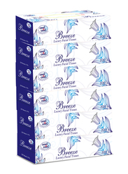 Cool & Cool Breeze Facial Tissues, 6 Boxes x 100 Sheets x 2 Ply