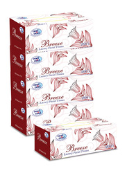 Cool & Cool Breeze Facial Tissues, 2 Ply x 200 Sheets x 5 Pieces, White