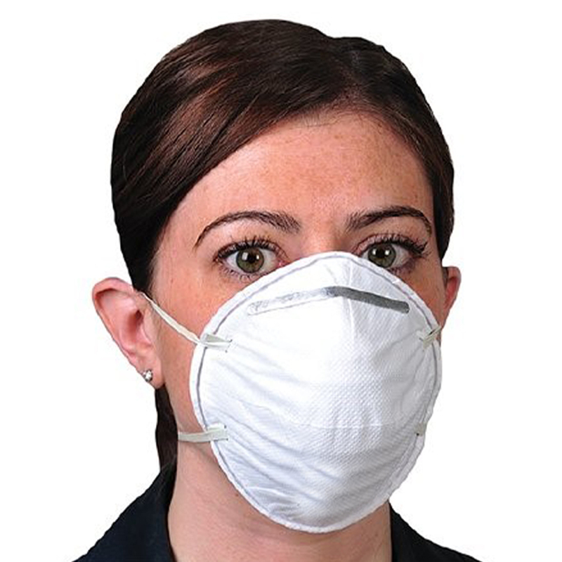 Multiplex Model 9502+ Professional Protective N95 Mask, 2-Pieces