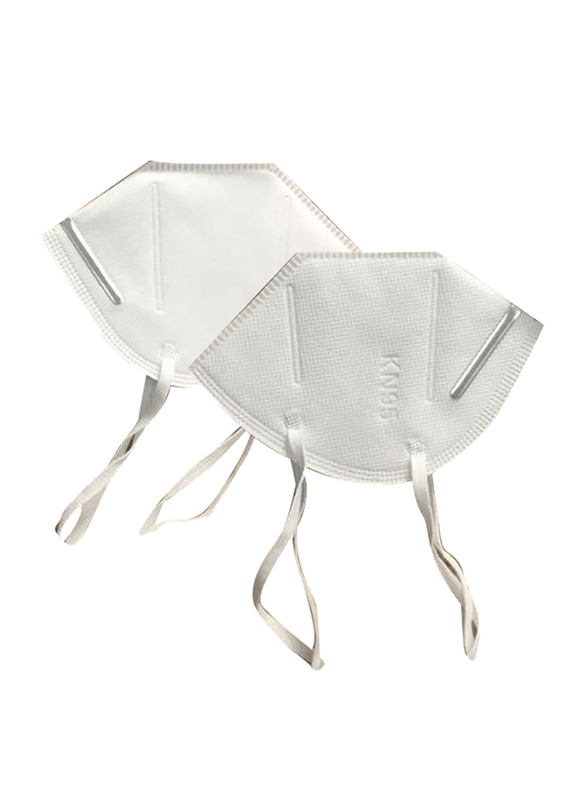 Multiplex Model 9502+ Professional Protective N95 Mask, 2-Pieces