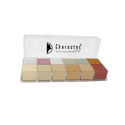 Character 12 Color Artist Makeup Palette And Glitter, BCCZ001 Multicolour