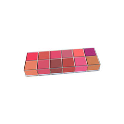 Character 12-Color Artist Lipstick Palette, BCL002 Multicolour