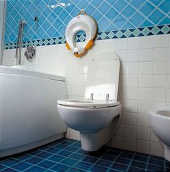 OKBaby Ducka Funny Toilet Training Seat Reducer with Slip Proof Edge, Orange