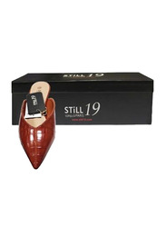 Still 19 Pointed Toe Ballerinas for Women, 40 EU, JKLB210021-87, Brown