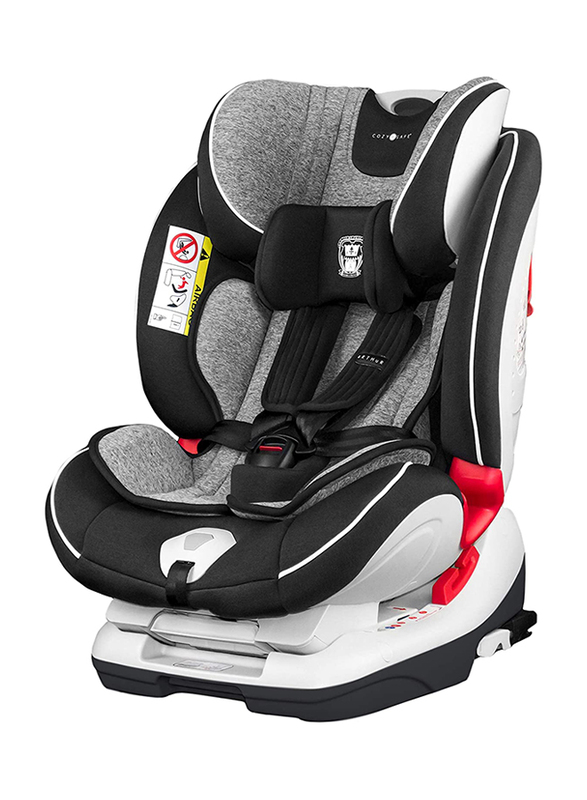

Cozy N Safe Arthur Baby Car Seat, Graphite