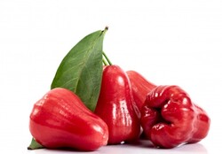 Rose Apple Red, 500 Grams