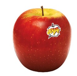 Apple Joya (France), 1 KG