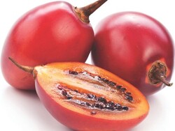Tamarillo (Colombia), 0.5 KG