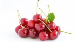 Cherry (USA), 8KG