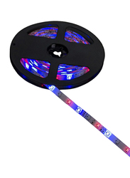 5-Meter Decorative LED Light String with Remote Control, Multicolor