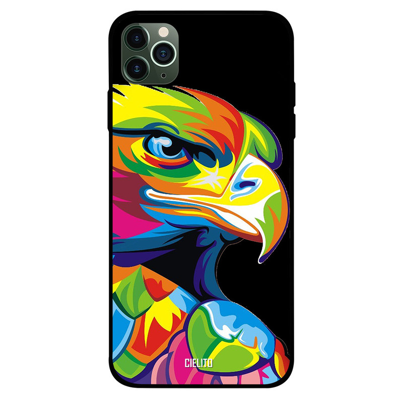 

Cielito Apple iPhone 11 Pro Max Mobile Phone Back Cover, Painted Eagle