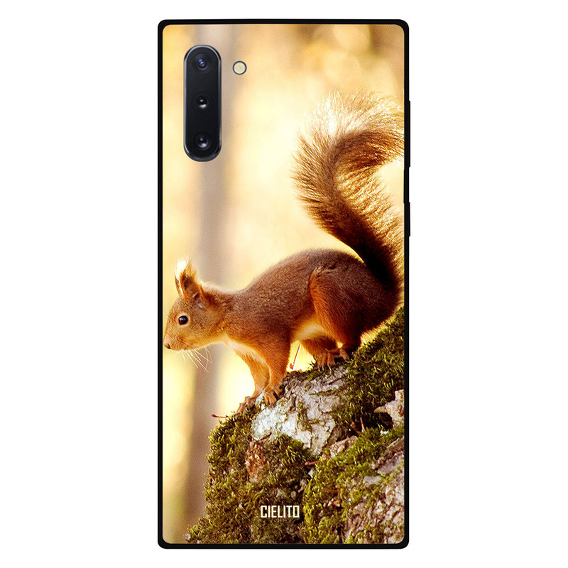 

Cielito Samsung Note 10 Mobile Phone Back Cover, Squirrel On The Rocks