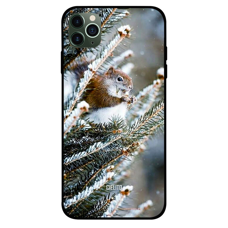 

Cielito Apple iPhone 11 Pro Mobile Phone Back Cover, Squirel in Snow
