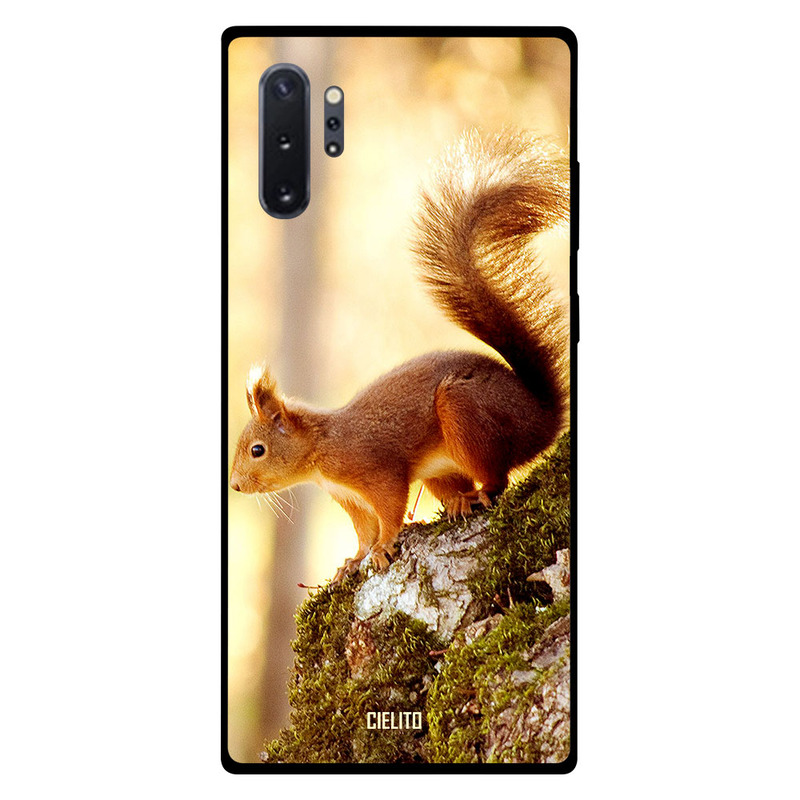 

Cielito Samsung Note Plus Mobile Phone Back Cover, Squirrel On The Rocks