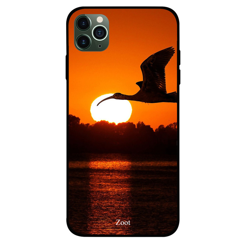 

Zoot Apple iPhone 11 Pro Mobile Phone Back Cover, Fly At Sunset