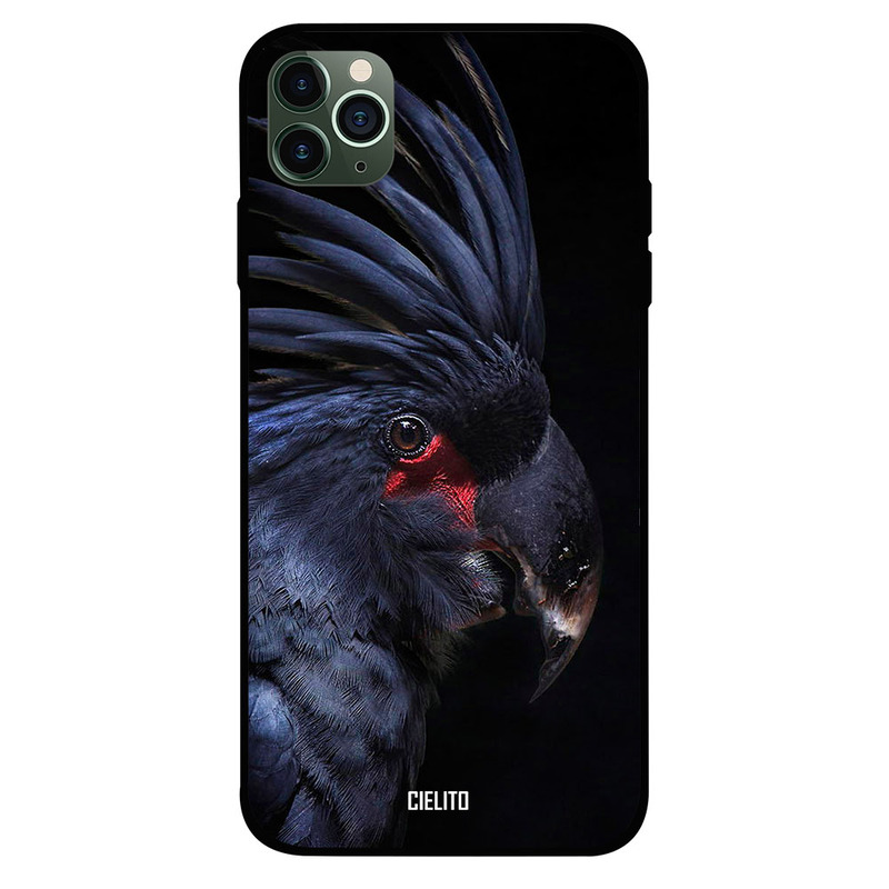 

Cielito Apple iPhone 11 Pro Mobile Phone Back Cover, Praslin Black Parrot