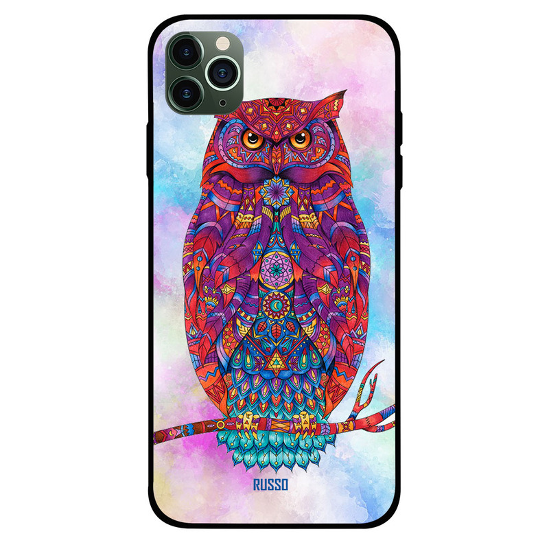 

Russo Apple iPhone 11 Pro Mobile Phone Back Cover, Elegant Artistic Owl
