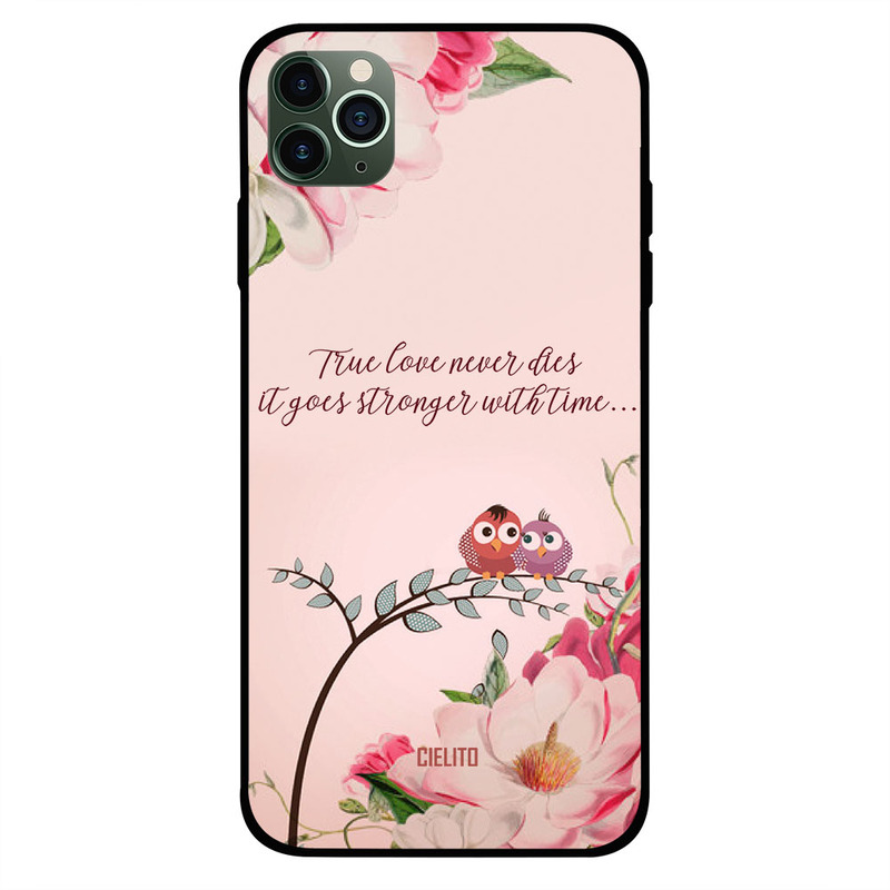 

Cielito Apple iPhone 11 Pro Mobile Phone Back Cover, True Love Never Dies