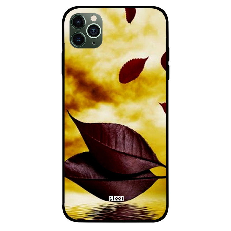 

Russo Apple iPhone 11 Pro Max Mobile Phone Back Cover, Clouds And Leaf