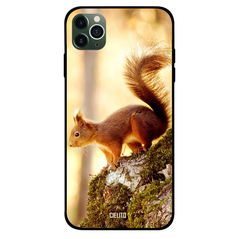 

Cielito Apple iPhone 11 Pro Max Mobile Phone Back Cover, Squirrel On The Rocks