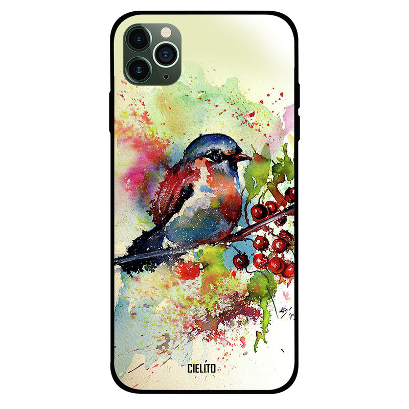 

Cielito Apple iPhone 11 Pro Max Mobile Phone Back Cover, Impression Bird Art