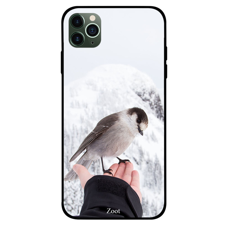 

Zoot Apple iPhone 11 Pro Mobile Phone Back Cover, Sparrow