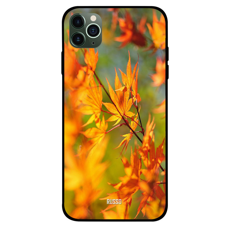 

Russo Apple iPhone 11 Pro Max Mobile Phone Back Cover, Autumn Leaves