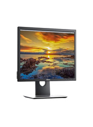 Dell 19 Inch LED Computer Monitor, P1917S, Black