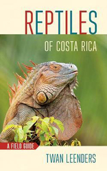 Amphibians and Reptiles of Costa Rica: A Pocket Guide, Paperback Book, By: Federico Munoz Chacon