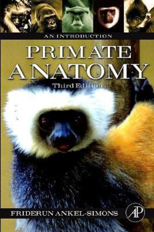 Primate Anatomy: An Introduction.paperback,By :Ankel-Simons, Friderun (Duke University, Durham, North Carolina, U.S.A.)