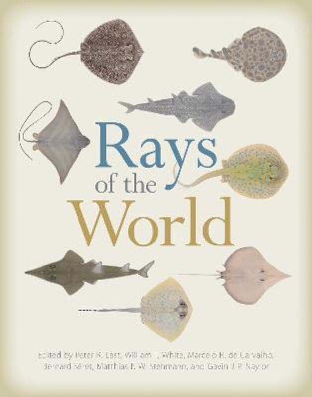 Rays of the World.Hardcover,By :Peter Last