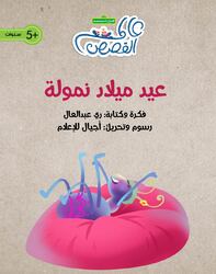 Nammula’s Birthday, Paperback Book