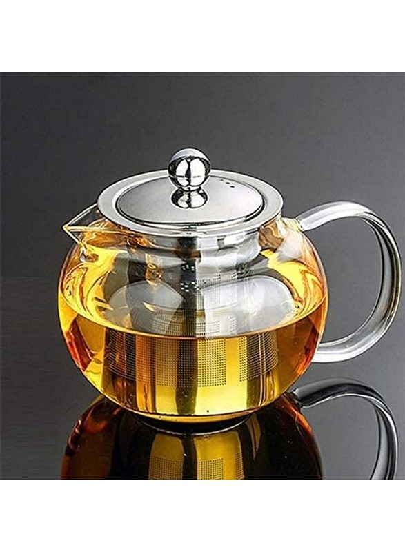 Lushh 800ml Heat Resistant Borosilicate Round Glass Teapot Cup With Infuser And Lid, Clear/Silver