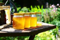 Qenwan Sider Honey, 1 Kg