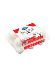Lactio Premium Large Eggs, 6 Pieces