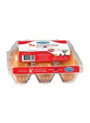 Lactio Premium Brown Eggs, Medium, 6 Pieces