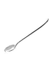 RoyalFord 2-Pieces Stainless Steel Ice Cream Spoon Set, RF8667, Silver