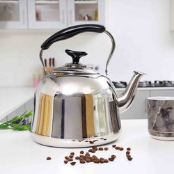 Royalford 5L Gas Stainless Steel Whistling Kettle, RF9843, Silver/Black