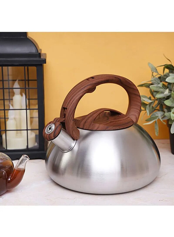 RoyalFord 3 Liters Stainless Steel Whistling Kettle, Silver/Brown
