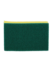 RoyalFord Rosele Wilkins Sponge Scrubber, 2 Pieces, Yellow/Green