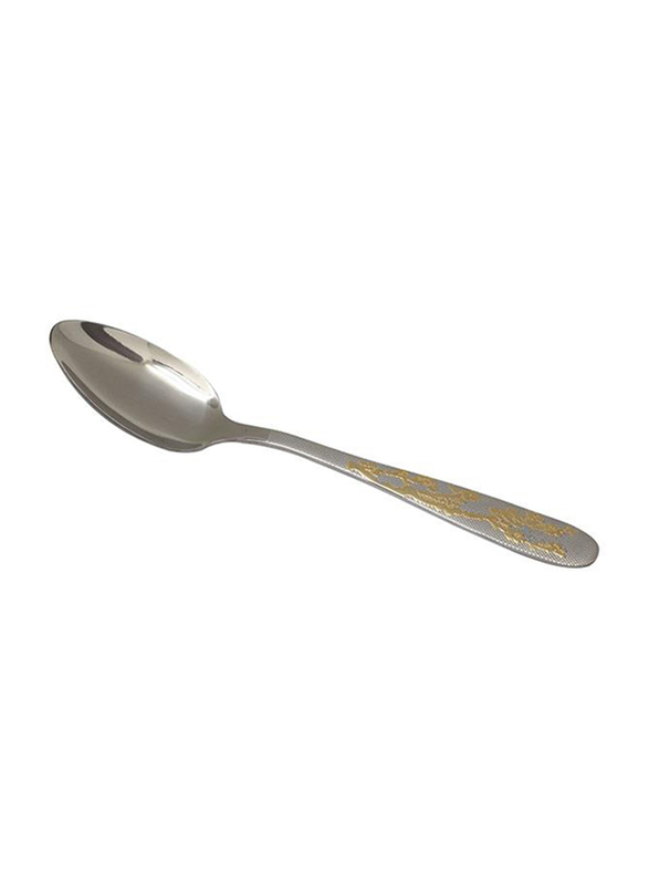 Delcasa 6-Pieces Stainless Steel Desert Spoon Set, DC1099, Silver