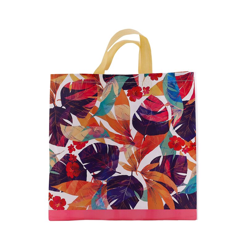 

Royalford Non-Woven Shopping Bag, RF11322, Multicolour