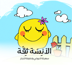 Mrs. Trust, Paperback Book, By: Dr. Suhaila Alawadi & Dr. Larifa Alnajar