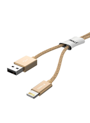 Iwalk 2-Meter Premium Certified Lightning Charging Cable, USB 2.0 Type-A Male to Lightning for Apple Devices, Gold